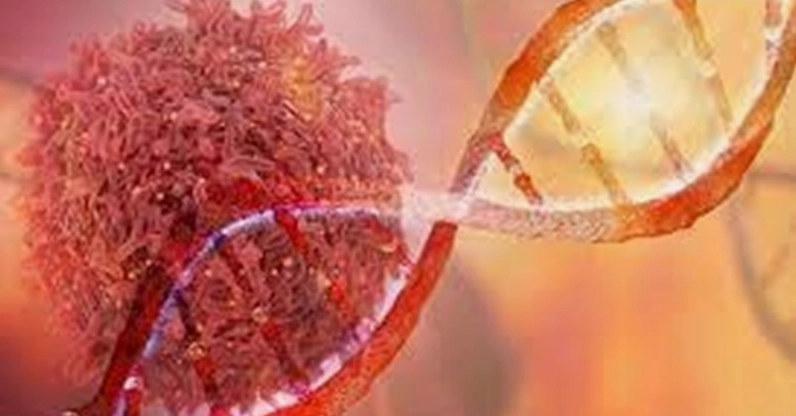 4 Loại Lá Cây Hỗ Trợ Ngăn Ngừa Ung Thư Hiệu Quả Theo Y Học Cổ Truyền