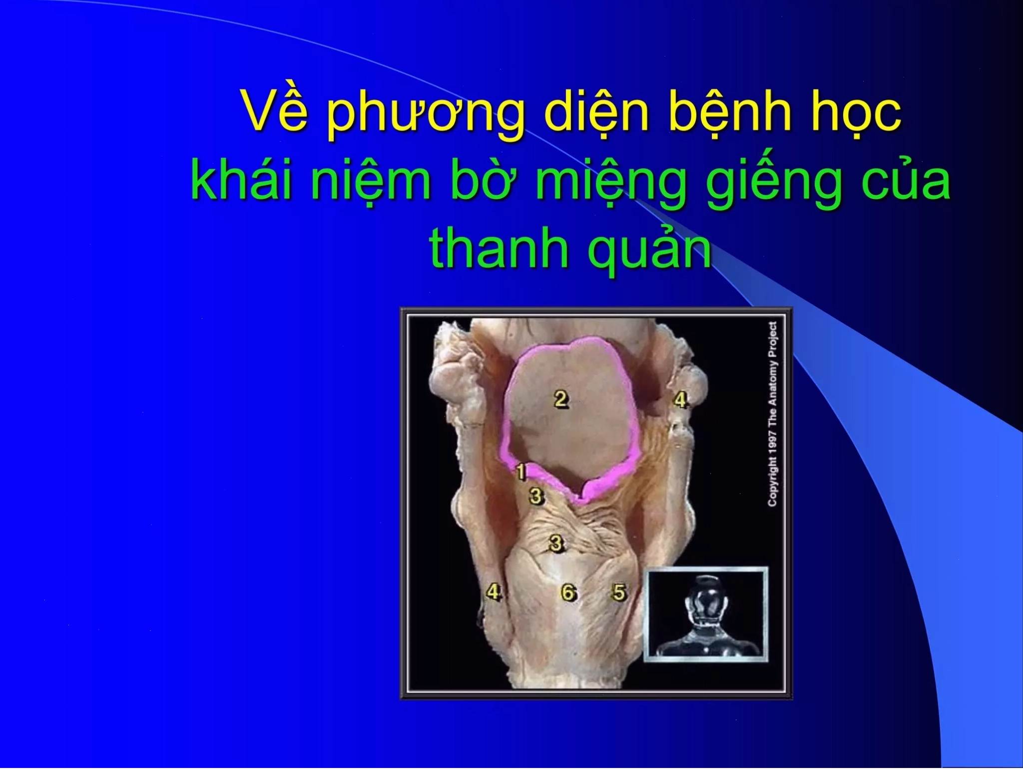 Bác sĩ đang tư vấn cho bệnh nhân về ung thư thanh quản