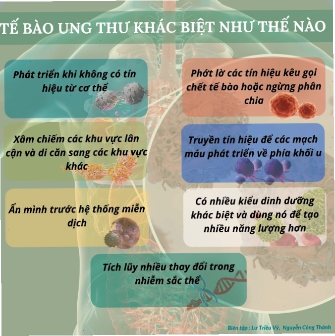 Biểu đồ minh họa tế bào ung thư phổi so với tế bào phổi bình thường
