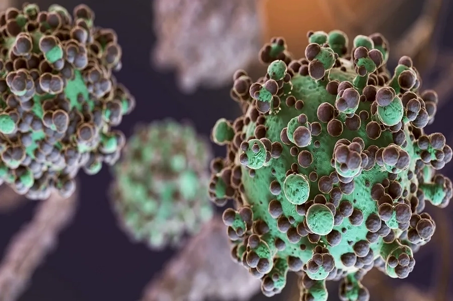 Các type HPV gây ung thư cổ tử cung: Nhận biết và phòng ngừa hiệu quả