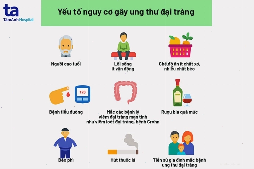 Các yếu tố nguy cơ chính dẫn đến ung thư đại tràng