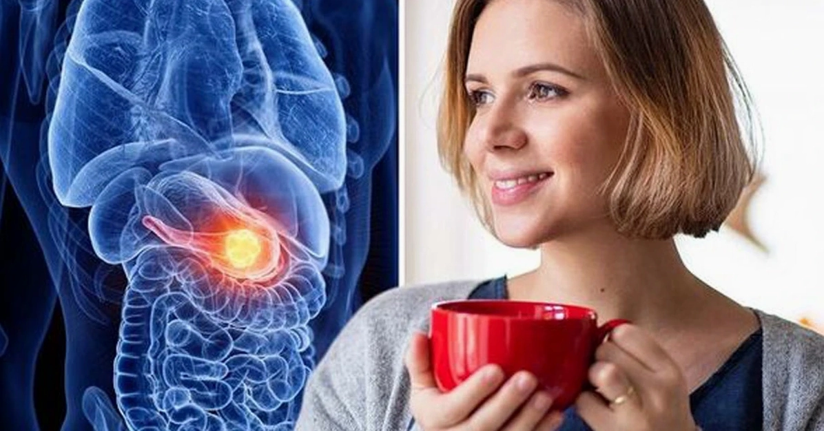 Cây bồ công anh và tiềm năng hỗ trợ phòng ngừa ung thư