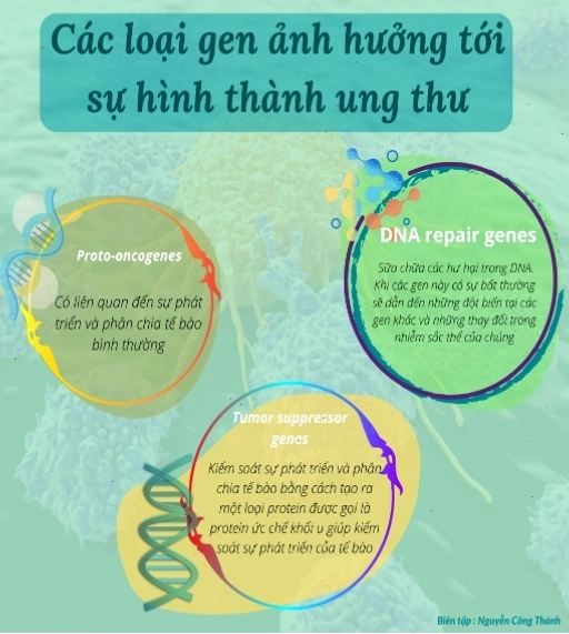 Hình ảnh hiển vi các loại tế bào ung thư phổi