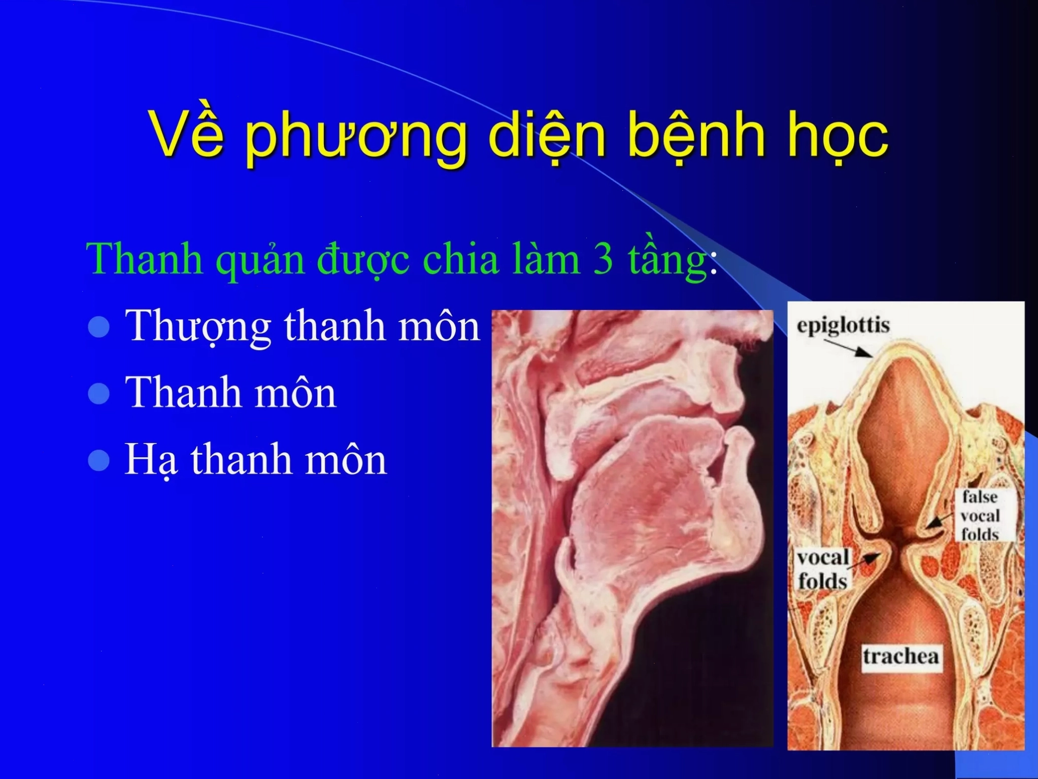 Hình ảnh minh họa lối sống lành mạnh phòng ngừa ung thư