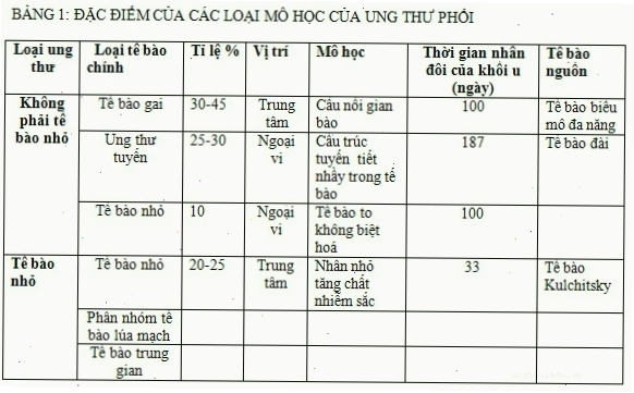 Hình ảnh minh họa quá trình phẫu thuật ung thư phổi