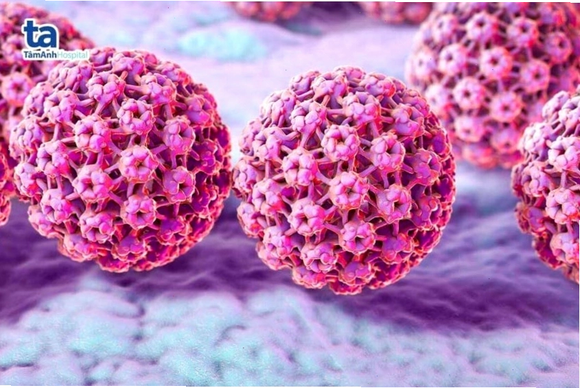 Hình ảnh virus HPV, nguyên nhân chính gây ung thư cổ tử cung