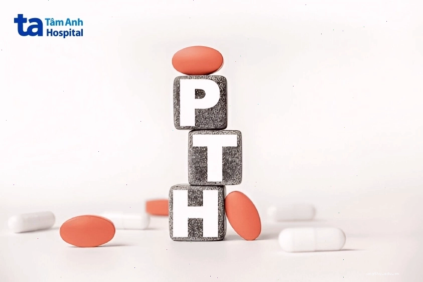 Hormone PTH do tuyến cận giáp tiết ra