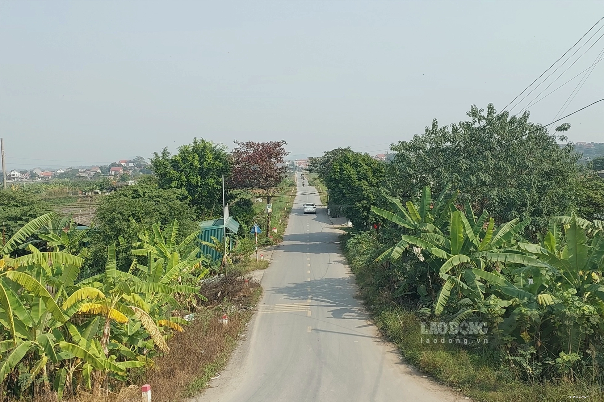 Màu xanh đã trở lại với xã Thạch Sơn, Phú Thọ.