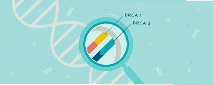 Nam giới mang đột biến gen BRCA2 có khả năng cao phát triển ung thư vú ở nam hơn.