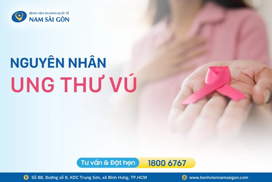 Nguyên nhân ung thư vú: Các yếu tố nguy cơ cần biết