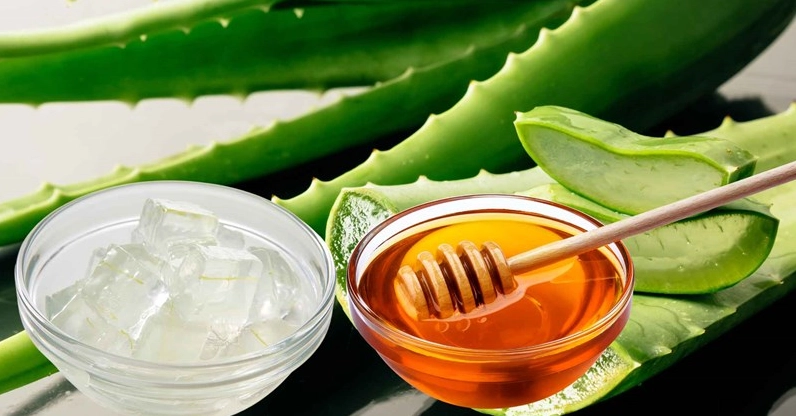 Nha đam mật ong trị ung thư: Thực hư và những cảnh báo y khoa