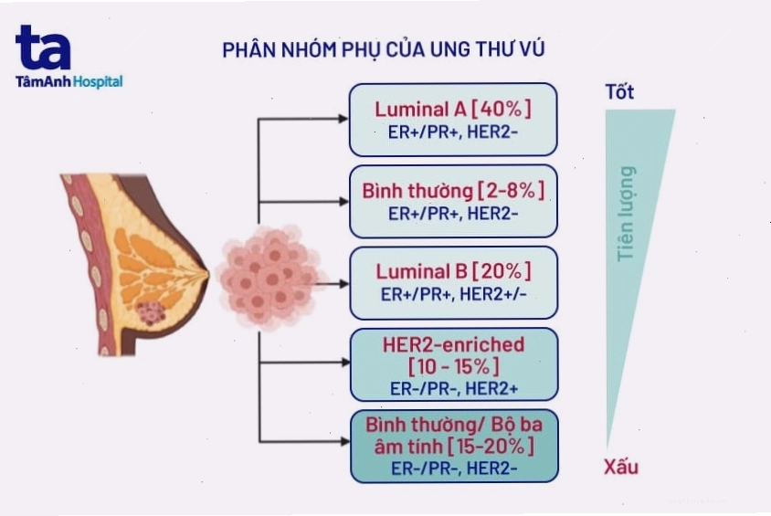 Nhóm phụ nữ thảo luận về ung thư vú