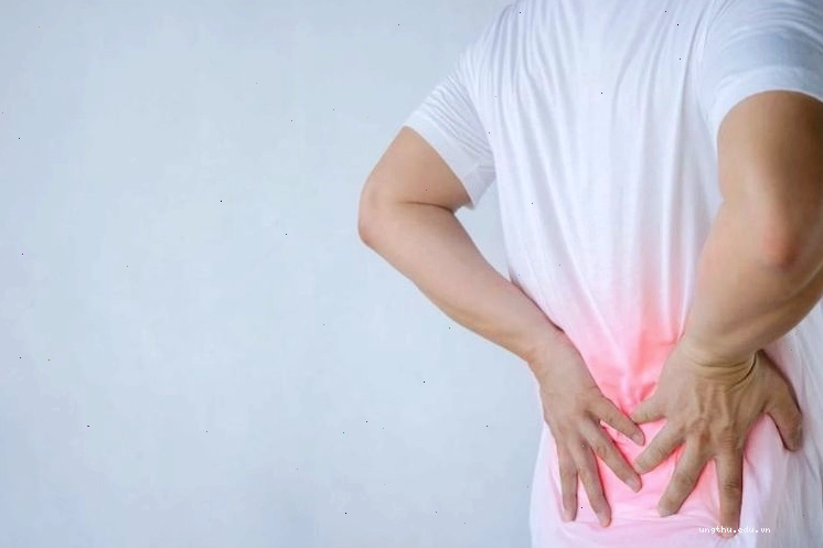 Trị gai cột sống đau nhức xương, thoái hóa cột sống là công dụng của cây xương khỉ