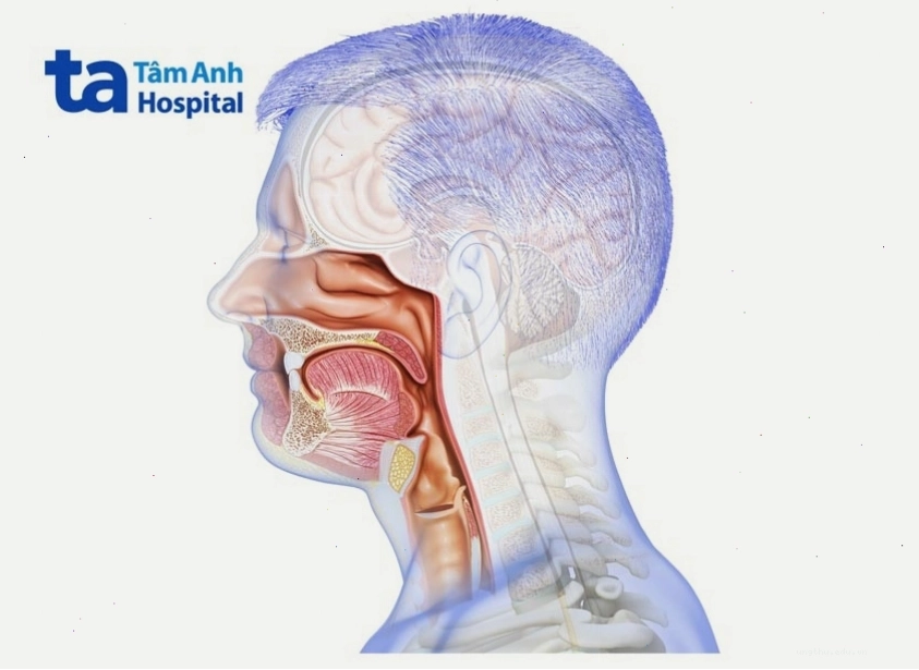 Ung thư miệng phát triển trong các mô của vùng miệng