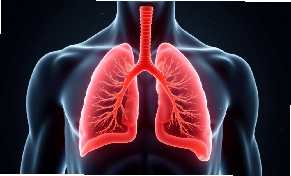 Ung thư phổi là một bệnh ác tính nguy hiểm, có khả năng di căn sang các cơ quan khác.