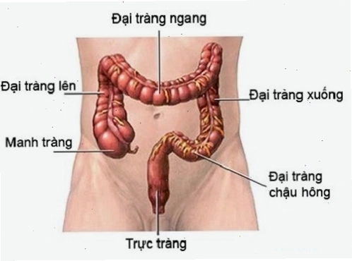 Vai trò của xét nghiệm CEA trong chẩn đoán ung thư đại trực tràng